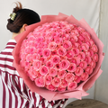 Love in Pink Bloom