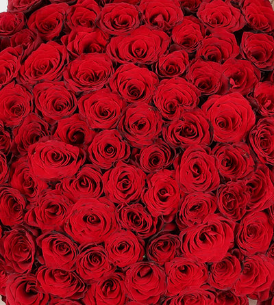 Romance & Love
