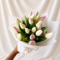 Blush Pink & White Tulip